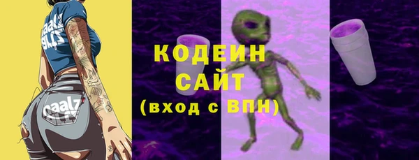 индика Абаза