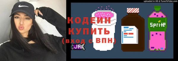 индика Абаза