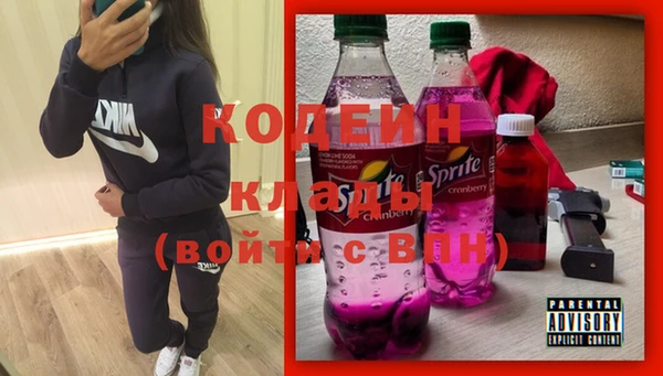 индика Абаза