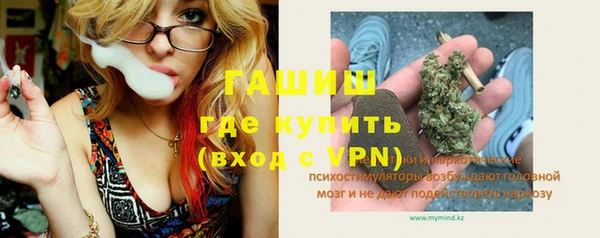индика Абаза