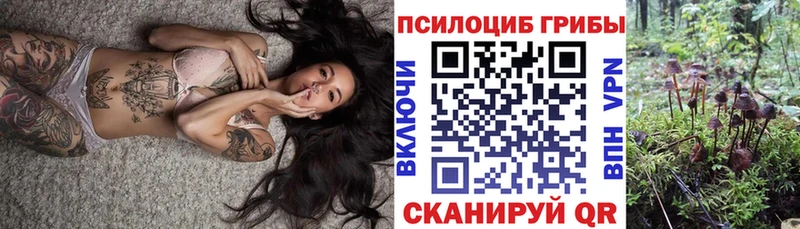 Галлюциногенные грибы Magic Shrooms  Котельнич 